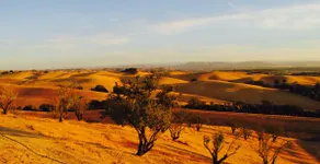 Hilltop Retreat. Spacious house on alpaca ranch. - Image 4