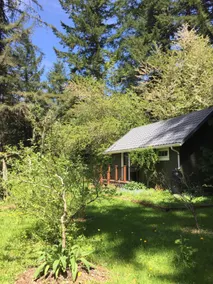 Ashford Food Forrest Cabin - Image 3