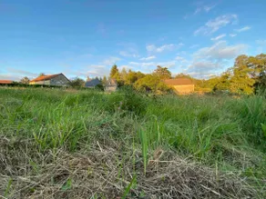 La Maison de Lauze: Charming cottage on the farm - Image 3
