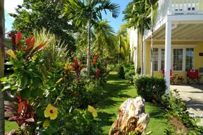 Villa Sweet J Negril-Run on Island Time! - Image 5