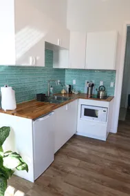 Contemporary Bainbridge Island Apartment - Image 3