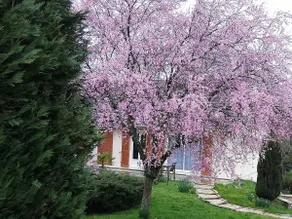 A countryside getaway - Image 2