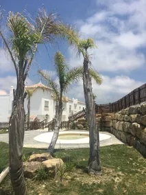 Summer house in Atlanterra - Image 3