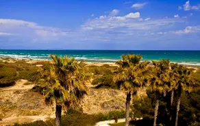 ”PINADA BEACH” Apartment, La Mata - Image 2