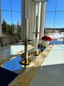 Luxury vacation home Erzgebirge in a secluded location - Image 4