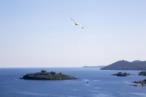 Jenny's Sea View House - Image 3