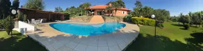 Paradise farm - 50 minutes from SP! - Image 2