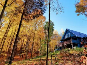 The Woods - Sauna (private)- Calabogie/Burnstown - Image 2