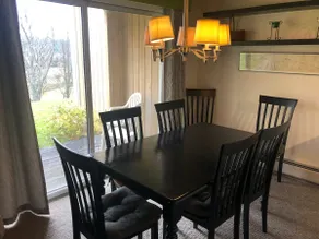 Clean, Modern 2 BR Condo Nr. Mtn Rd - Image 4