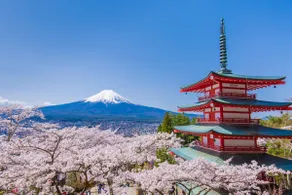 富士急ハイランド、河口湖近くの1棟貸切ｺﾃｰｼﾞ20名以上宿泊可 ! 庭でBBQ、花火、焚火OK! - Image 4