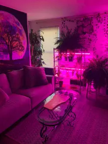 EWR | Secret Zen Garden: Master suite Studio - Image 4