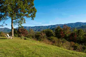 Million Dollar View! Peaceful, Cozy Apartment. - Image 3
