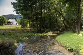 Holiday home Week - Image 3