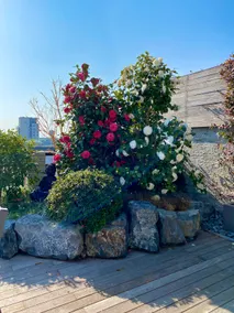 PEEKABOO HOUSE - Amazing terrace in Navigli area - Image 3