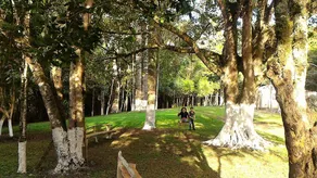 Farmhouse with access to Alagados de Carambeí - Image 3