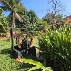 Liberdade Ranch - Image 3
