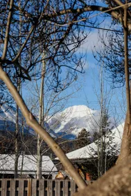 Cozy Mountain Suite + Sauna & Cold Plunge - Image 5