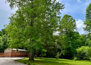 1-Bedroom Cottage, Large Deck, 1-Acre with a Creek - Image 2