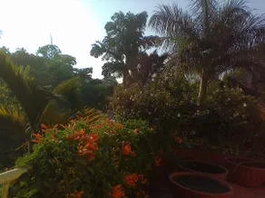 Saanvi Sanctuary - Image 4