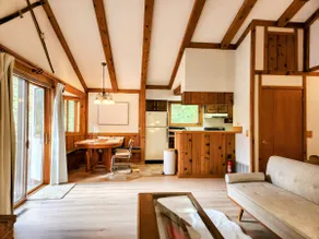 Snowy Owl's Nest-Vacation Home in Harbor Springs - Image 2