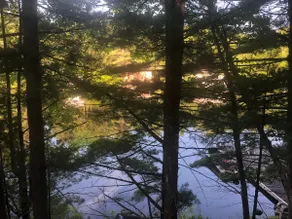Privacy in the Pines with Hot Tub - Image 2