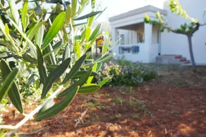 Olive House - Image 2