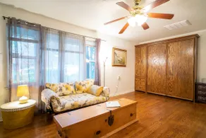 Tortoise Shell Apartment in Nature Habitat - Image 2