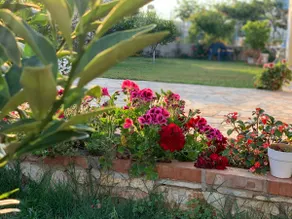 Amazing Villa!8 Persons!Garden View!Free Parking! - Image 4