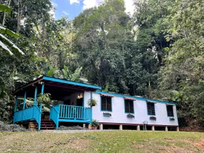 Forest house - Image 2
