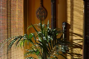 Gite Massages of the World - Image 5