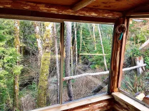 ”Gorge Edge” Dog-friendly Cabin, Off-grid - Image 2