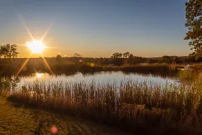 Amish-built cabin, serene and peaceful with pond and private dock for fishing. - Image 3