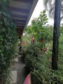 Casa Golfo Dulce (3 Bed) - Image 5