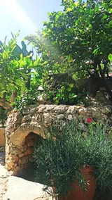 ”Traditional, lush cottage” - Image 3