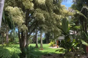 Royal Palm Cottage Hawaii - Image 2