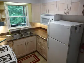 Pines- Secluded cabin in Blue Ridge mountains - Image 3
