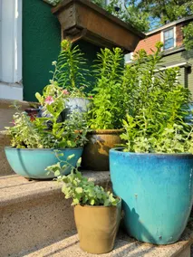 Charming & cozy | pet & eco-friendly | fenced yard - Image 5