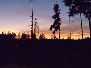 Quiet Country Paradise with EV charger - Image 4