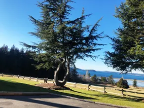 Rummeligt udsigt hjem, der fanger ro og skønhed af Puget Sound - Image 5