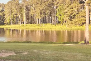 Lake House - Image 4