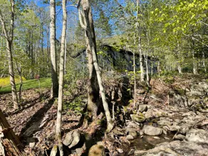 The Woodland Valley Spa Cabin (20min to Woodstock) - Image 2