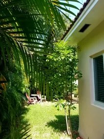 LUXURY Guayabita's House - Image 5