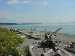Broadway Terrace at Madrona Beach - Image 2