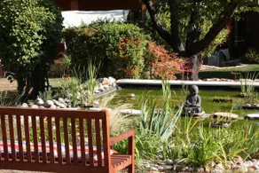 House among the pines - Image 5