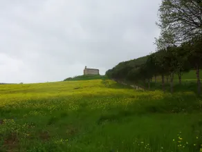 Agriturismo La Pieve - Image 3
