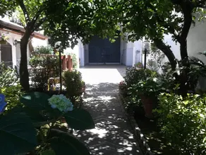 Il Giardino degli Agrumi - Image 2