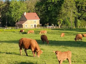 Gîte des beaux Chênes - Image 2