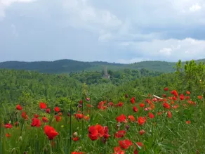 Torre Di Sant'Ansano - Image 2