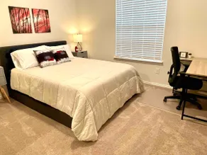 NEW | Modern, cozy home | Humans and pets welcome! - Image 2