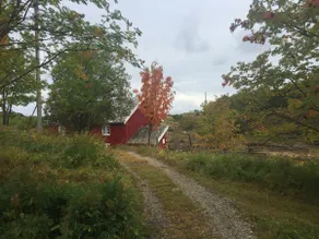 Experience island life from Nikolaibrygga in Gildeskål - Image 5